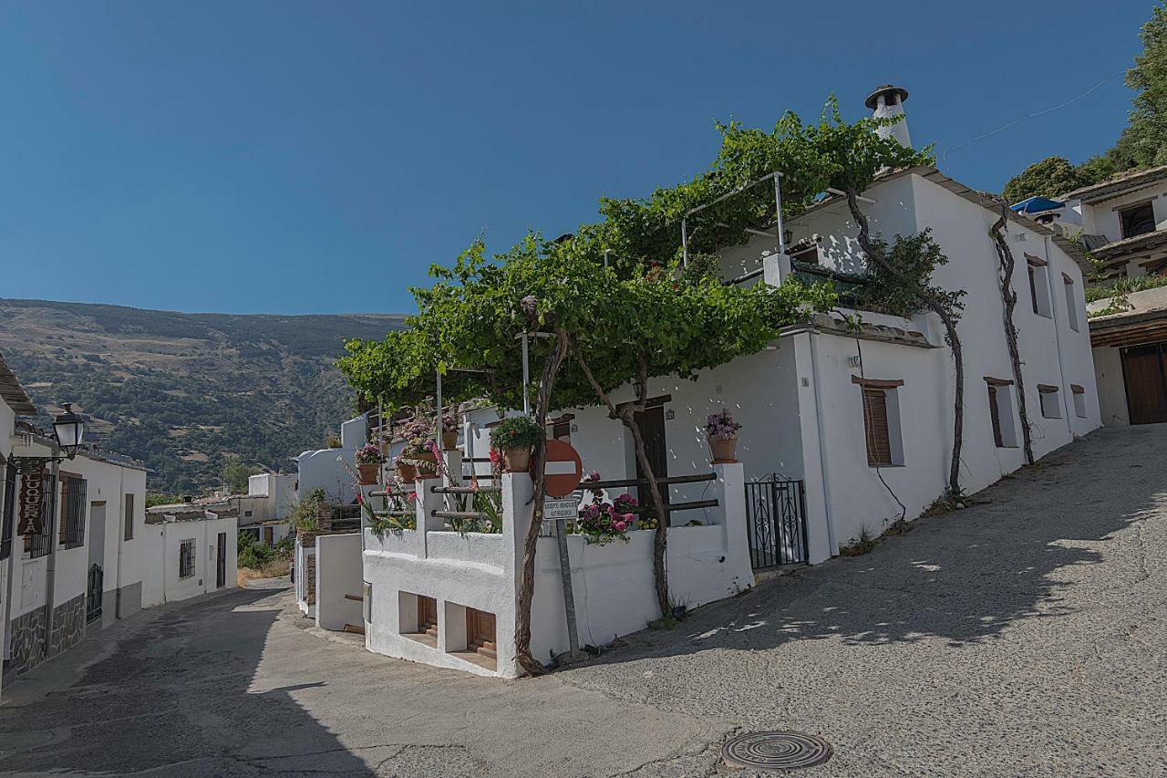 Apartamentos Rurales Las Chimeneas Capileira Zewnętrze zdjęcie